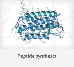 Peptide Analysis 